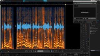 RX Audio Repair Master Class | iZotope RX 5 Audio Editor Tips & Tricks