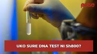 How much does a DNA test cost in Kenya?