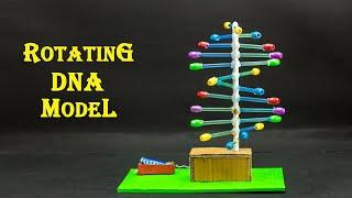 School Science Projects | Rotating DNA Model