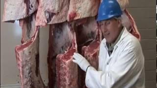 Dan Hale - Food From Livestock - Meat & Meat Products - Yield Grading
