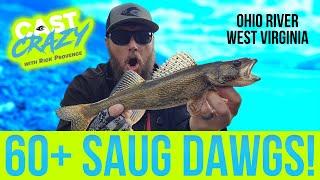 Fall WALLEYE and SAUGER on The Ohio River