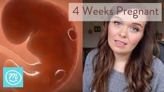 4 Weeks Pregnant: What You Need To Know - Channel Mum