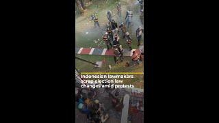 Indonesia legislature scraps election law changes after protests | AJ #shorts