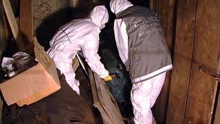 They find a putrefied body in a cellar