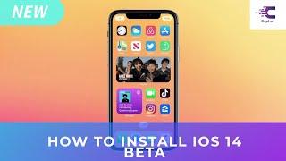 How To Install iOS 14 Without Developer License(No Computer)
