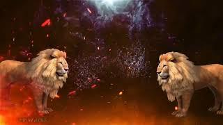 Lion entry WhatsApp status video templates for kinimaster video editing #allinonesudhakarredddy