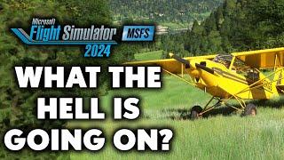 Microsoft Flight Simulator 2024 - WHAT THE HELL IS GOING ON?