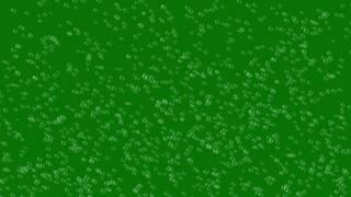 Bubbles #5 - 4K Green screen FREE high quality effects