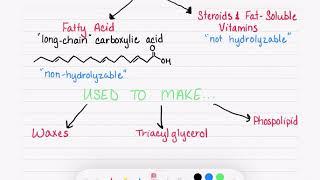 19.1 Introduction to Lipids