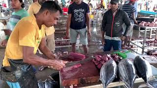 Fastest Cutting Speed! | Tuna Fish Cutting Skills Sri Lanka