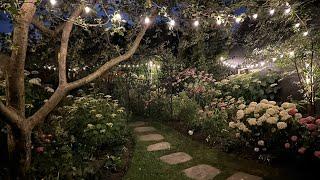 GARDEN GLOW UP!  Creating a Midnight Oasis in the Backyard with Garden Lighting Night Garden Tour