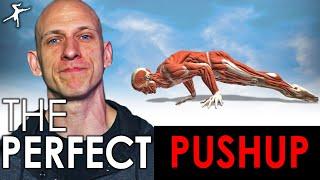 The Perfect Pushup.  Beginner to Advanced.