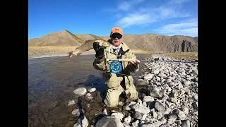 Enigmatic Lenok Trout, Delger, Mongolia