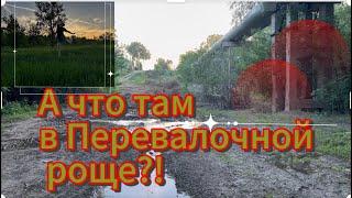 Природа  … смотрим окрестности… #уральскаядама #kazakhstan #лето