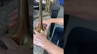 Alinhamento campana trompete