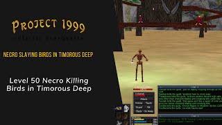 Everquest Project 1999 - Origins of Rottis: Bird Smashing in Timorous Deep! Caw Caw!