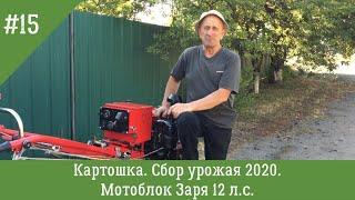 Картошка | Сбор урожая 2020 | Мотоблок Заря 12 л.с.