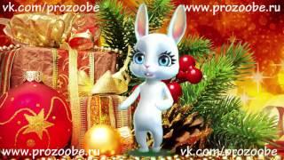 2017 С Новым Годом !  Красивое поздравление от ZOOBE Зайки Домашней Хозяйки