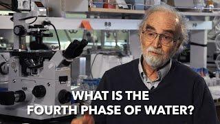 What is the Fourth Phase of Water? with Dr Gerald Pollack
