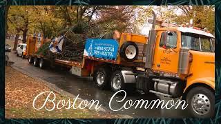 Precious Cargo: A Journey from Nova Scotia to Boston Common