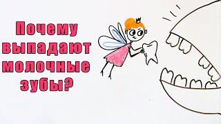 Почему выпадают молочные зубы?