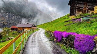 جولة جميلة سيرًا على الأقدام في المطر في Gimmelwald - قرية سويسرية