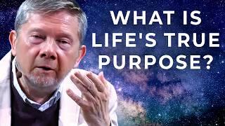 Eckhart Tolle on the True Purpose of Life: Beyond the Pursuit of Happiness