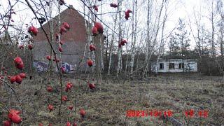 ГСВГ. Neues Lager. Территория близ клуба,здание штаба в/ч84565, "Крейсер" 18.12.2023