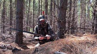 The Ranger Takedown Survival Bow by Survival Archery Systems - Short Version