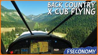 Back Country XCub Flying | Microsoft Flight Simulator | FSEconomy | Ep. 7