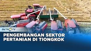 Tiongkok Membuat Kemajuan  Dalam Pengembangan Sektor Pertanian Pada Tahun 2024