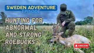 Sweden Adventure Episode Hunting for abnormal and strong roebucks