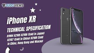 iPhone XR | Technical Specification | Apple A12 Bionic chip | Face ID | iPhone You can Buy in 2023