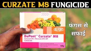 Curzate M8 Fungicide || DuPont Curzate fungicide use in hindi