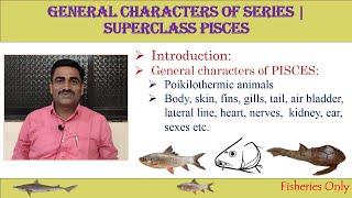 General Characters of Series | Super-class - Pisces