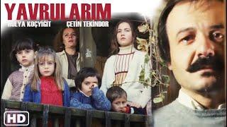 Yavrularım Türk Filmi | FULL | Hülya Koçyiğit | Çetin Tekindor | Restorasyonlu