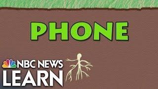 Word Roots: Phone