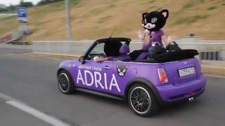 Adria Cats путешествуют по России на фиолетовых Mini