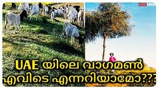 A Village In Ras Al Khaima|Hidden Place In UAE|Vagamon