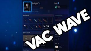 VAC WAVE AUGUST 2020 (CSGO BAN WAVE / VAC NET) -200.000€ IN SKINS + FALSE BANS