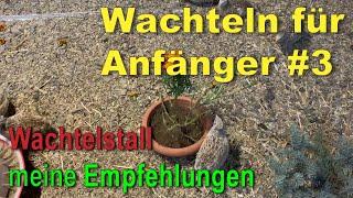 Wachtelstall, Wachtelgehege - das solltest Du wissen! - Wachteln für Anfänger #3