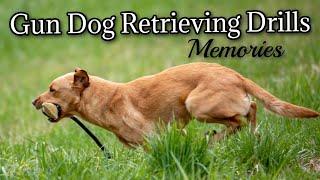 Gun Dog Retrieving Drills: Memories