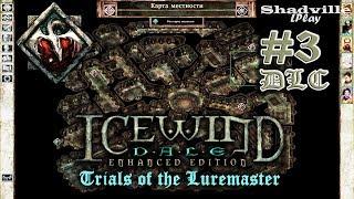 Icewind Dale: Heart of Winter - Trials of the Luremaster Прохождение DLC #3: Загадки и склеп