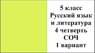 5 класс Русский язык и литература 4 четверть СОЧ 1 вариант