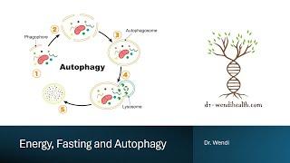 AUTOPHAGY AND APOPTOSIS