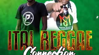 DJ TSUNAMI FT DJ PWENYA - ITAL REGGAE CONNECTION VOL 1