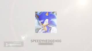 SpeedyHedgehog New Intro 2024