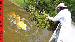 FISHING Legendary INVASIVE FISH BRIDGE!