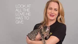 CATS on Broadway's Mamie Parris on Pet Adoption | Cats the Musical