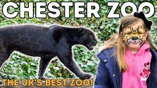 Chester Zoo - The UK's Best Zoo!